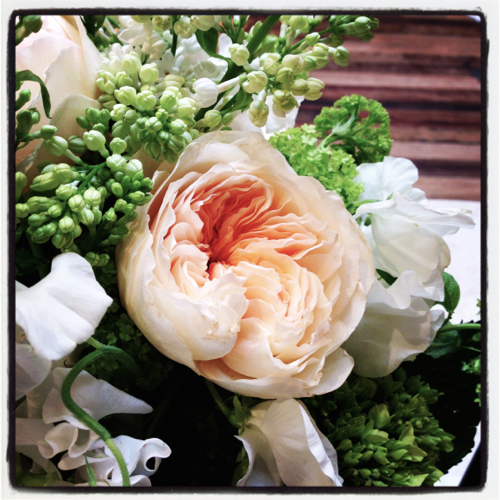 winstons-flowers-anthropologie