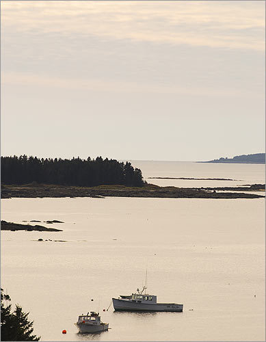 view-James-R.-Salomon-maine